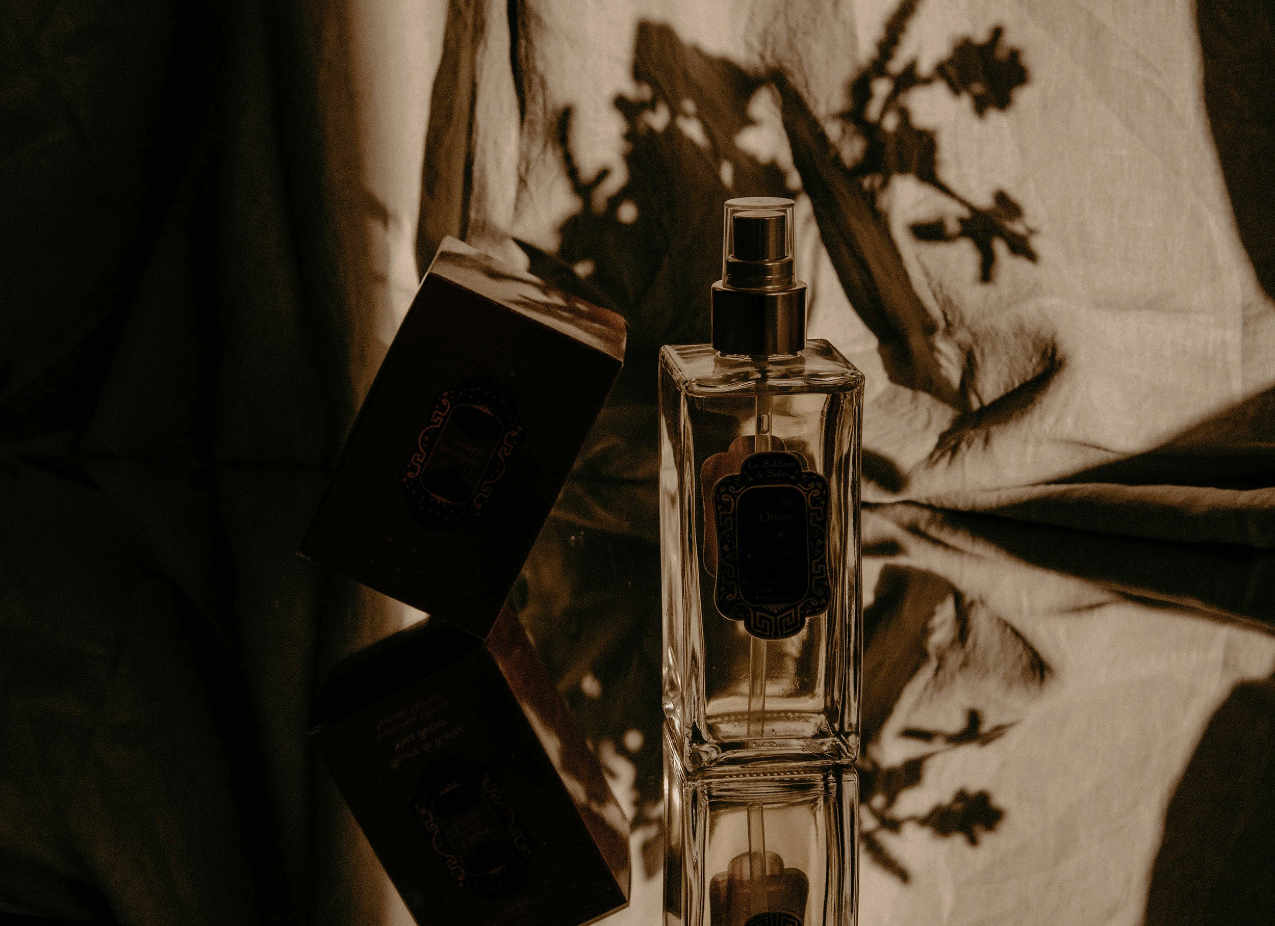 Luxury Perfume Brand